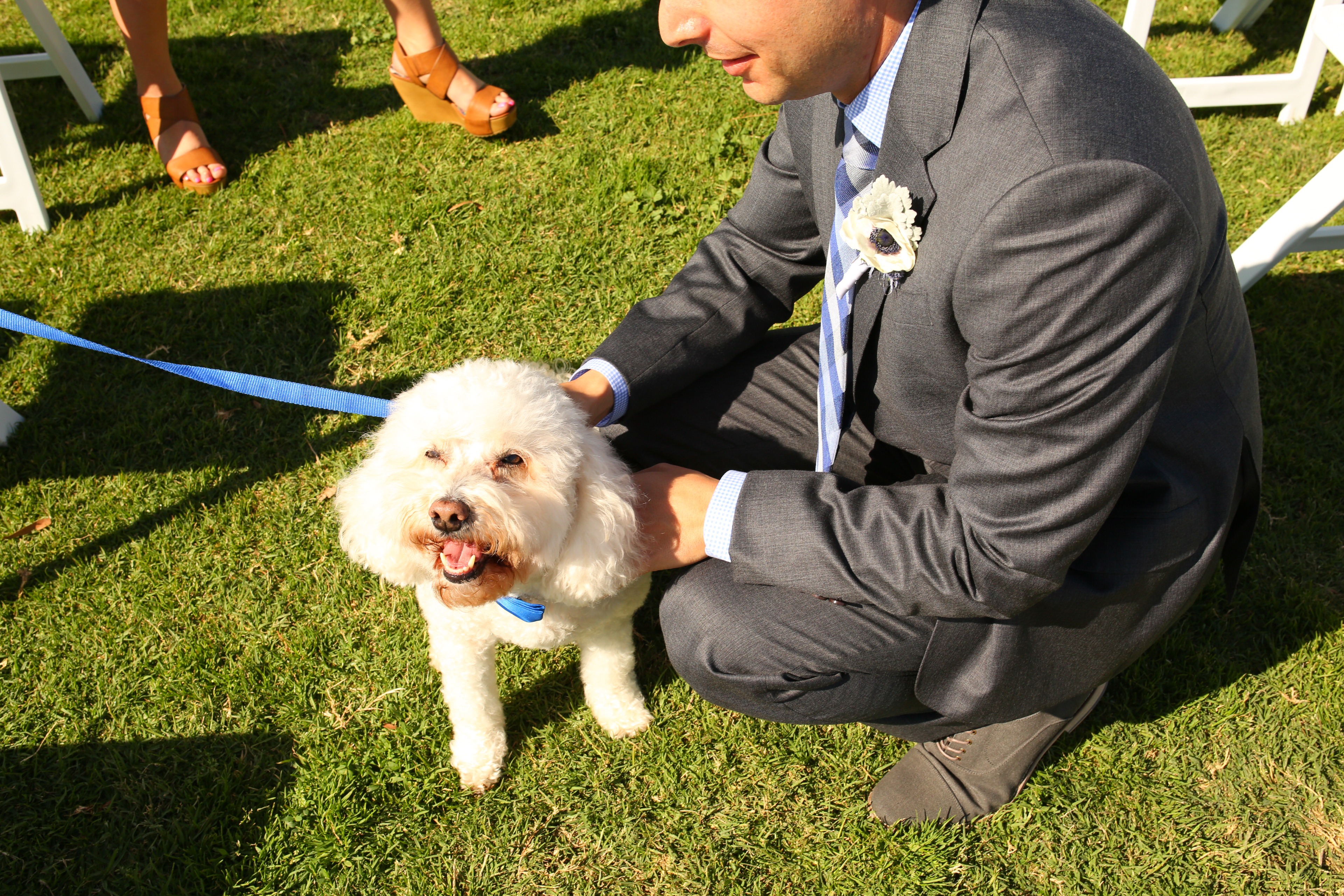 Sibley (457 of 1256)